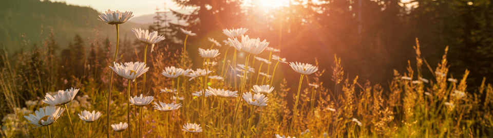 Stare all’aria aperta fa bene al corpo e alla mente
