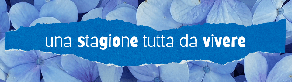 Monexia gift card ponti aprile maggio list image