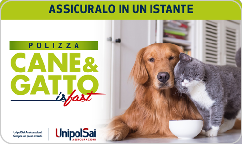 Gift card UnipolSai Cane&Gatto