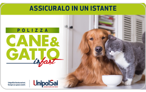 Gift card UnipolSai Cane&Gatto