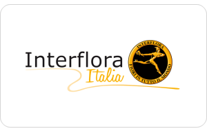 Gift card Interflora